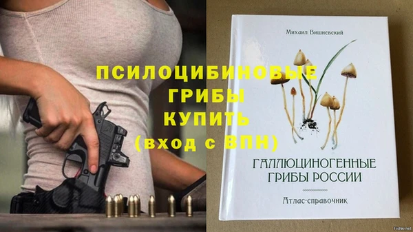 прущий лед Алексеевка